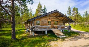 tips liburan seru di log cabin