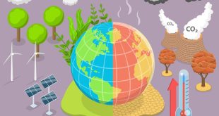 Strategi Adaptasi terhadap Pemanasan Global: Langkah Nyata untuk Masa Depan Bumi